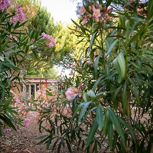 https://spalla-country.sicilyhotelsitaly.net